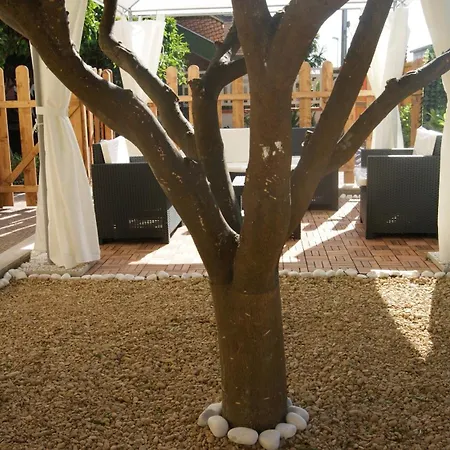 Bed & Breakfast Vegan Airport - Adults Only - Late Check In *